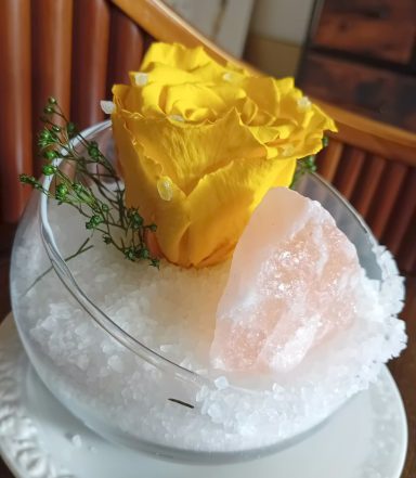 Geplantes Projekt: Salzkristall mit echten Rosen in Glasvase